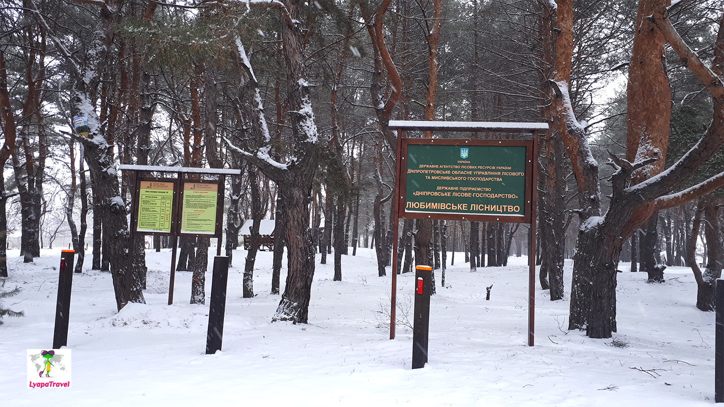 Лесопарк дубки подольск фото